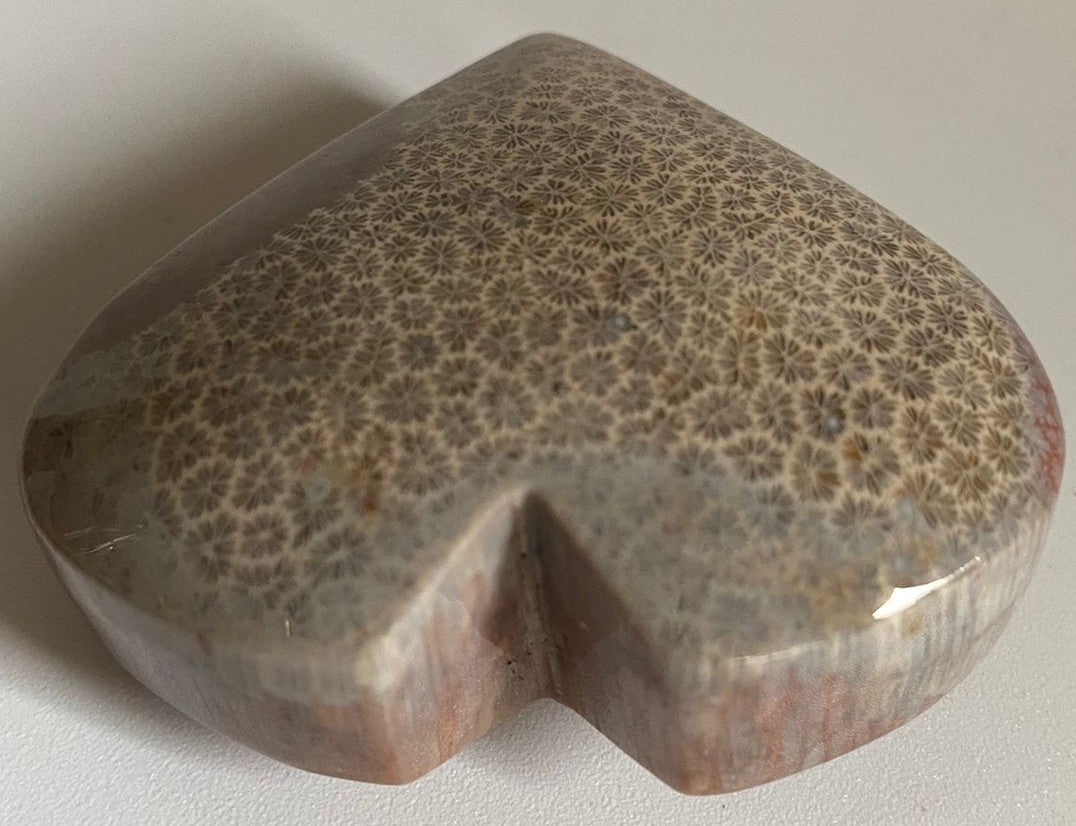 Inima unicat de 5.3cm din cristal de coral fosilizat cu fundal alb