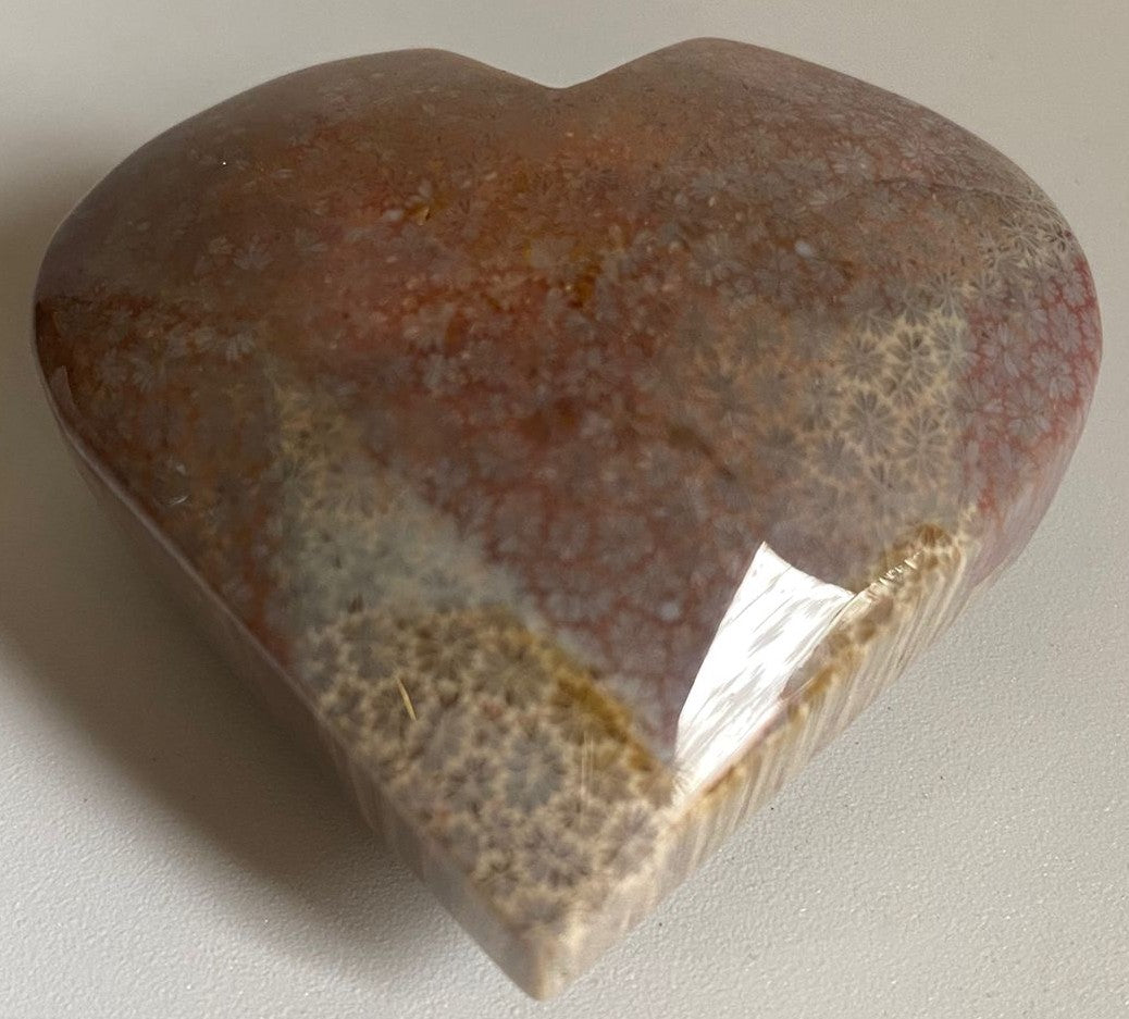 Coral Fosilizat - Inima 5.3cm - Pietre Semipretioase Naturale