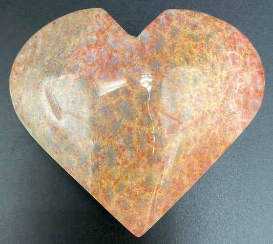 Inima din piatra semipretioasa de coral fosilizat pe fundal negru