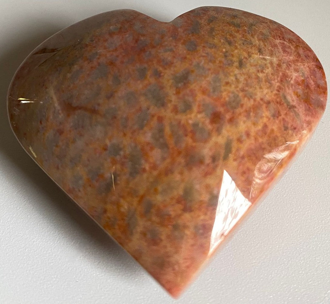 Inima de 5.5cm din piatra semipretioasa de coral fosilizat pe fundal alb