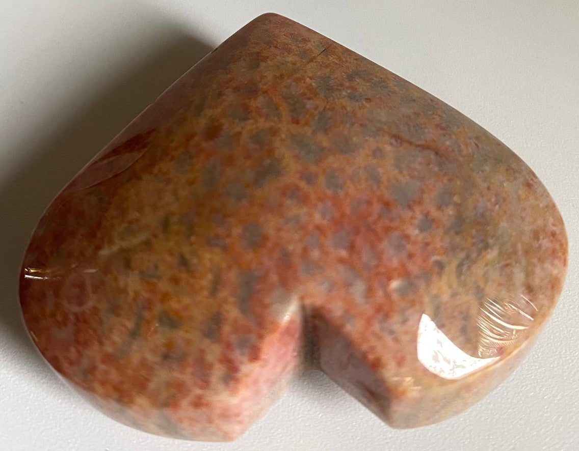 Inima de 5.5cm din cristal de coral fosilizat pe fundal alb