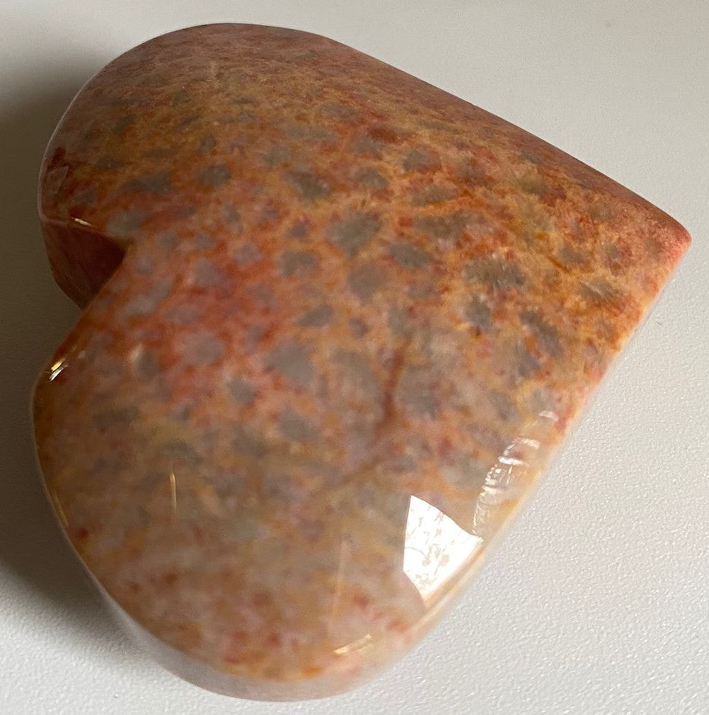 Inima decorativa de 5.5cm din piatra semipretioasa de coral fosilizat pe fundal alb