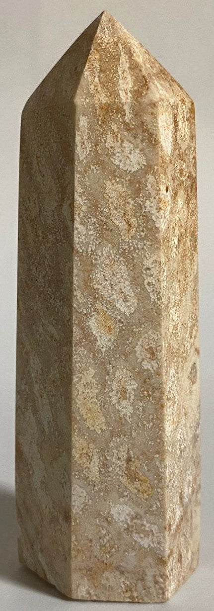 Obelisc din Coral Fosilizat 8.6cm piatră semiprețioasă naturală