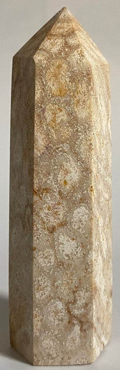 Obelisc de 8.6cm din piatra semipretioasa de coral fosilizat pe fundal alb