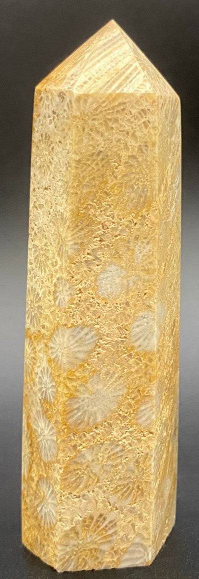 Obelisc din piatra semipretioasa de coral fosilizat pe fundal negru