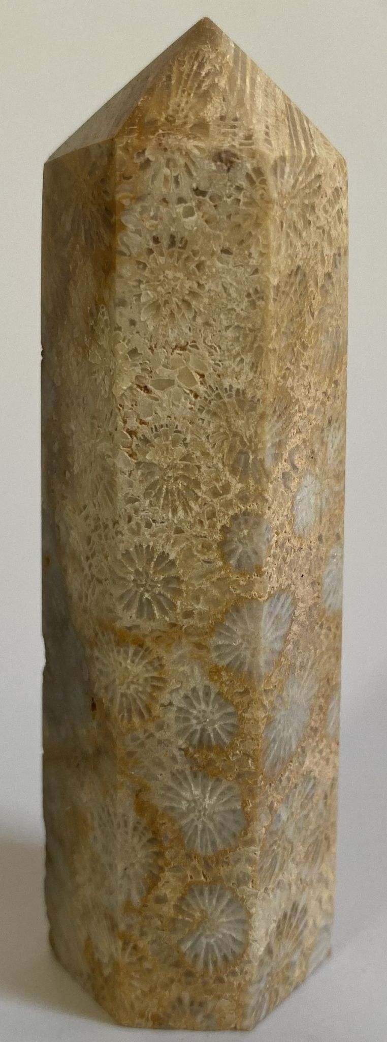 Obelisc din coral fosilizat natural de 8.7 cm, piatră semiprețioasă