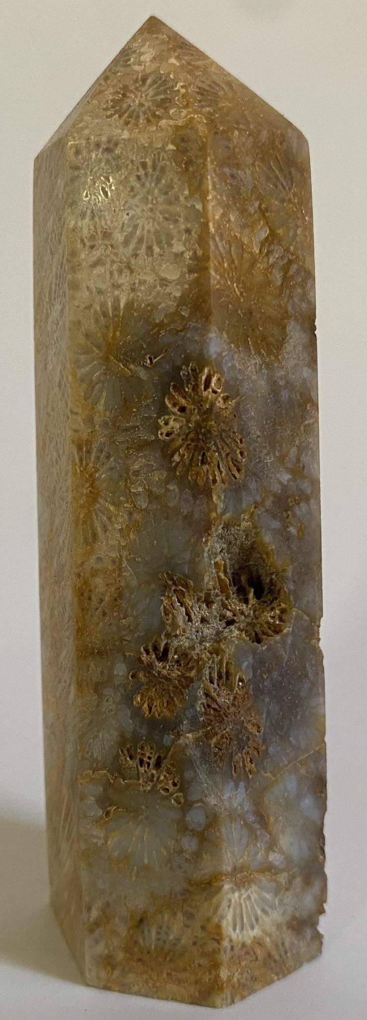 Obelisc din Coral Fosilizat de 8.7cm, piatră semiprețioasă naturală