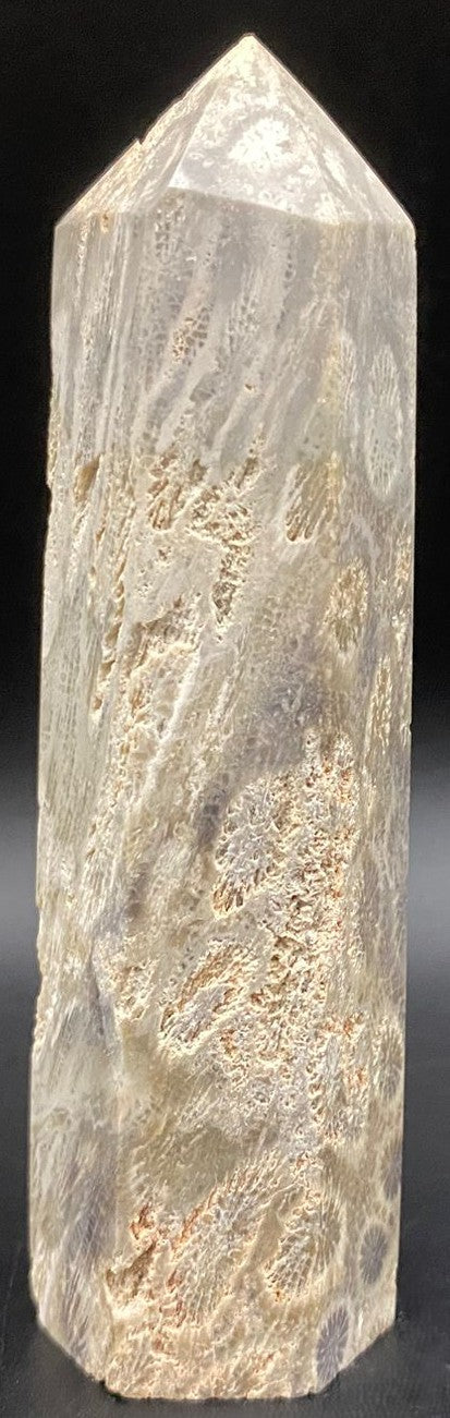 Obelisc din piatra semipretioasa de coral fosilizat pe fundal negru