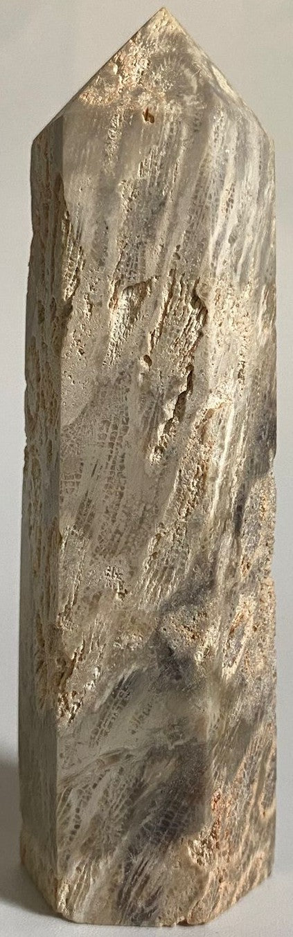 Obelisc din cristal de coral fosilizat pe fundal alb