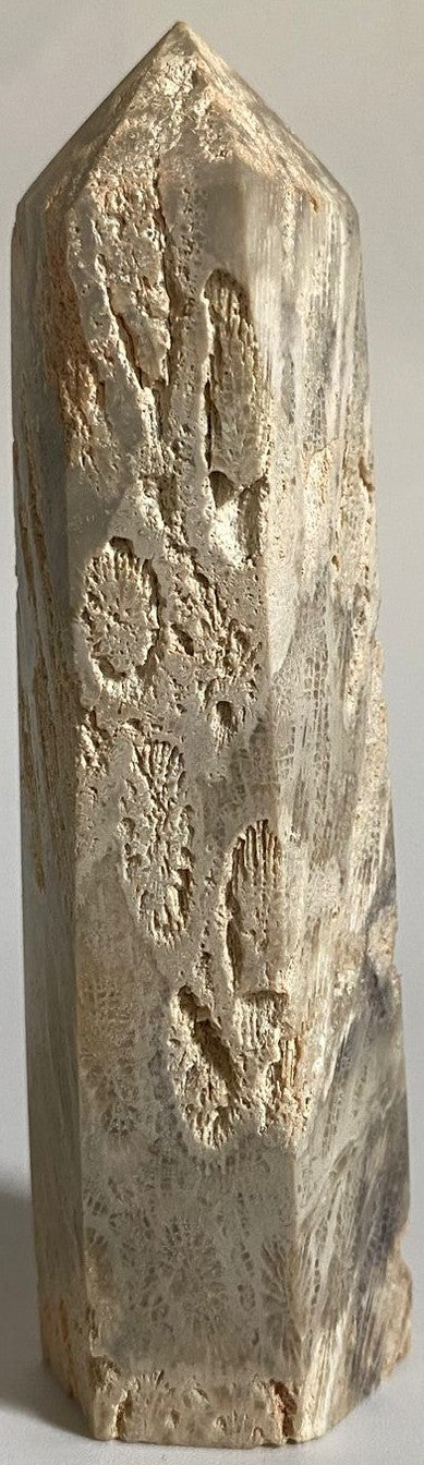 Obelisc de 9.4cm din piatra semipretioasa de coral fosilizat pe fundal alb