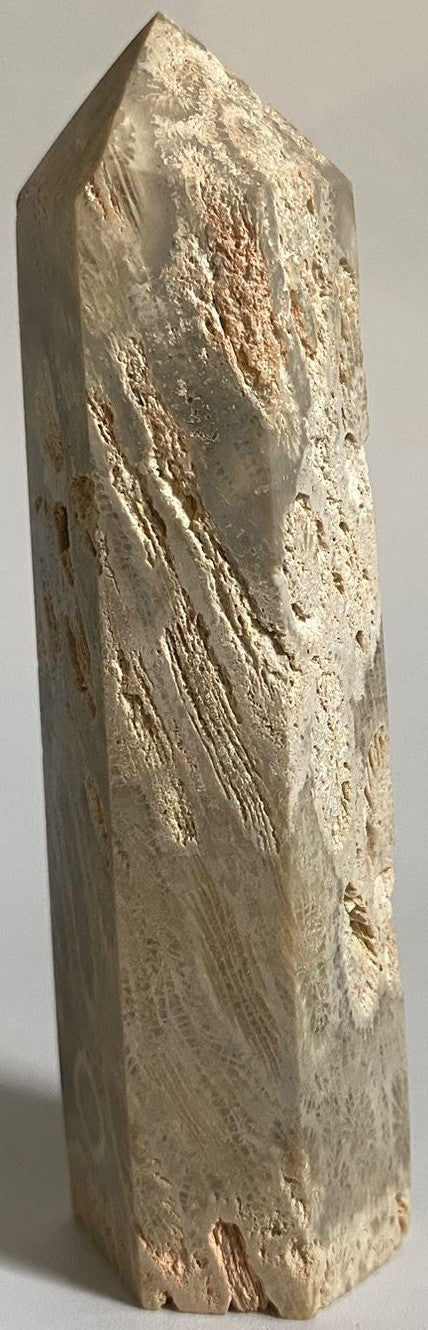 Obelisc de 9.4cm din cristal de coral fosilizat pe fundal alb