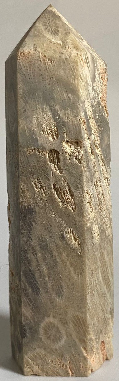 Obelisc decorativ de 9.4cm din piatra semipretioasa de coral fosilizat pe fundal alb