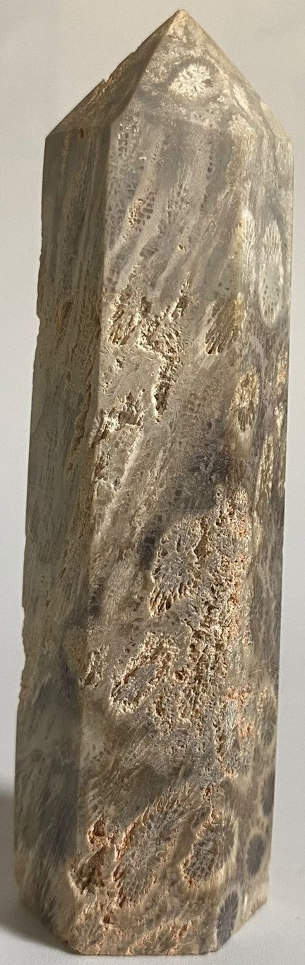 Obelisc decorativ de 9.4cm din cristal de coral fosilizat pe fundal alb