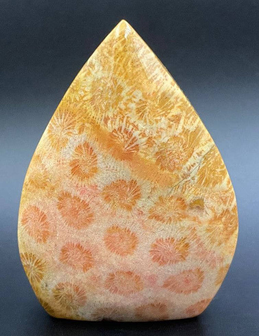 Sculptura din piatra semipretioasa de coral fosilizat pe fundal negru