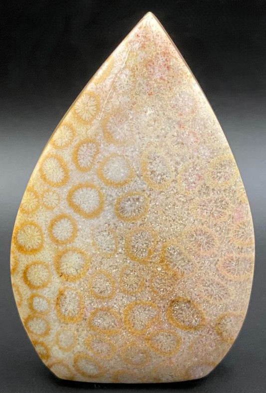 Sculptura din piatra semipretioasa de coral fosilizat pe fundal negru