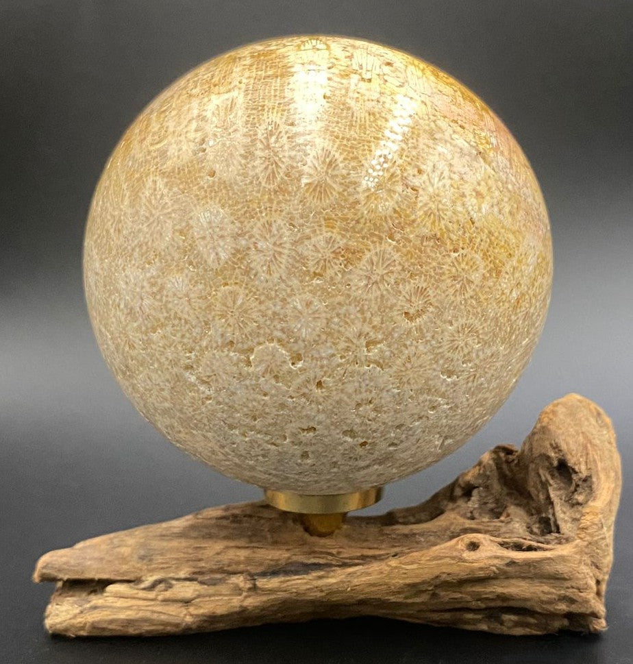 Sfera din piatra semipretioasa de coral fosilizat pe suport din lemn cu fundal negru