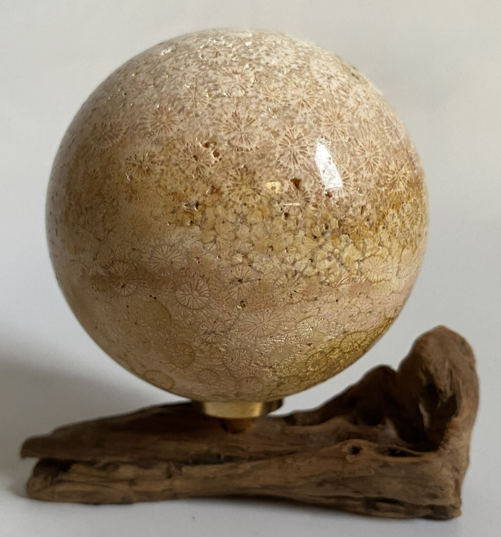 Sfera de 6.3cm din cristal de coral fosilizat pe suport din lemn cu fundal alb