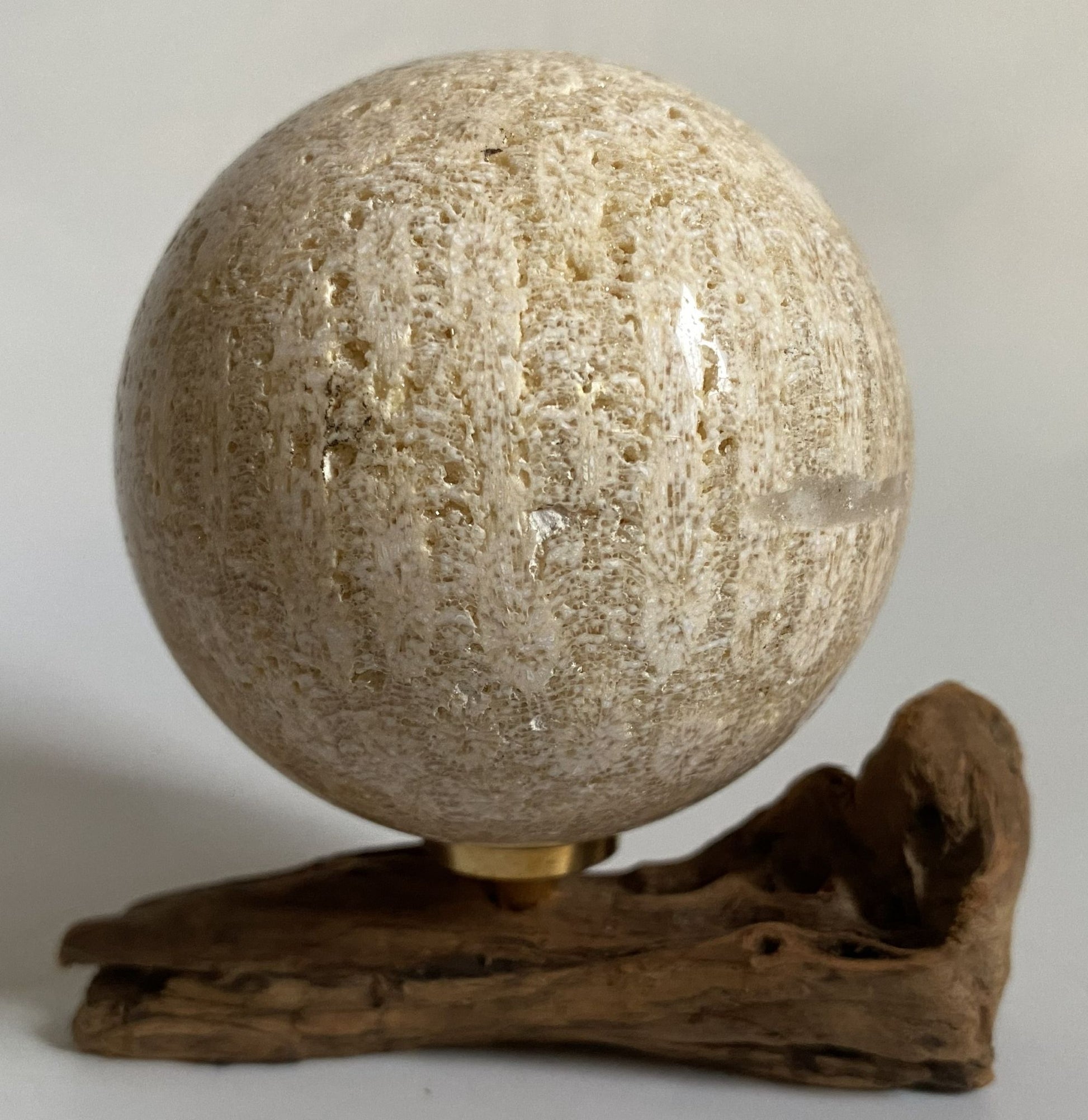 Sfera de 6.3cm din piatra semipretioasa de coral fosilizat pe suport din lemn cu fundal alb