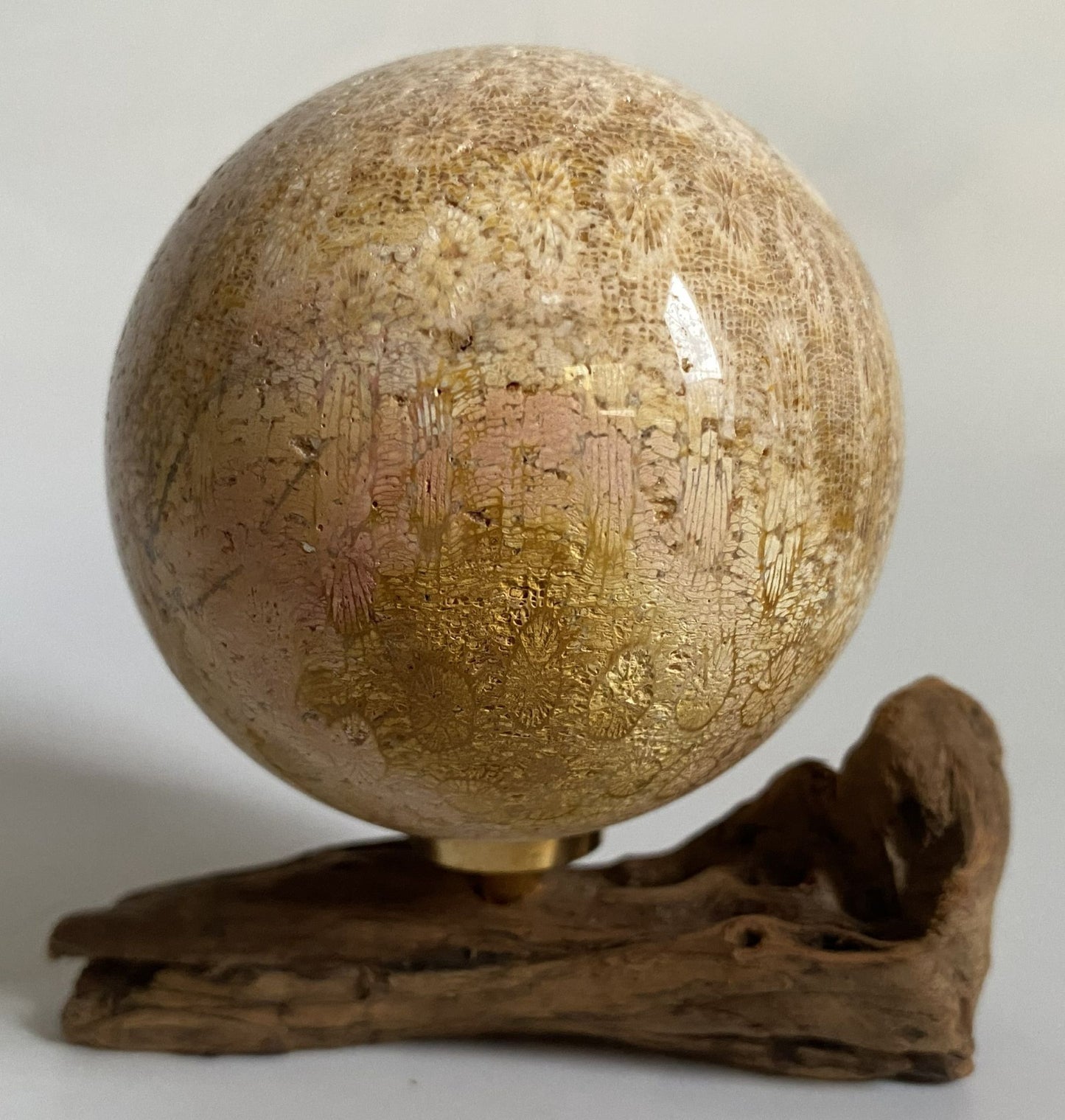 Sfera decorativa de 6.3cm din cristal de coral fosilizat pe suport din lemn cu fundal alb