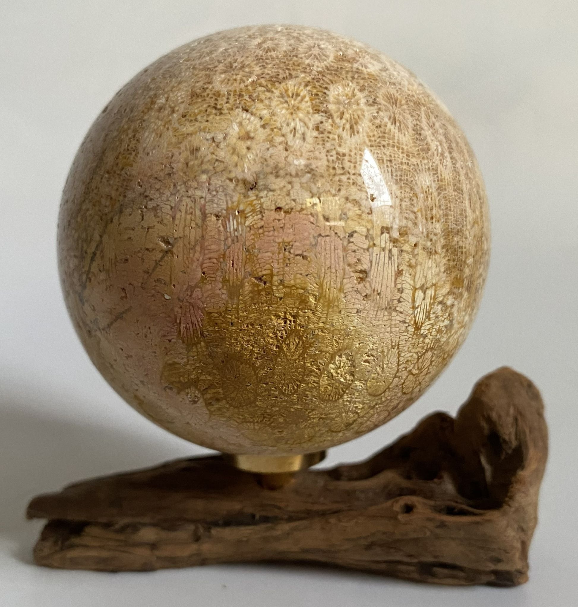 Sfera decorativa de 6.3cm din cristal de coral fosilizat pe suport din lemn cu fundal alb