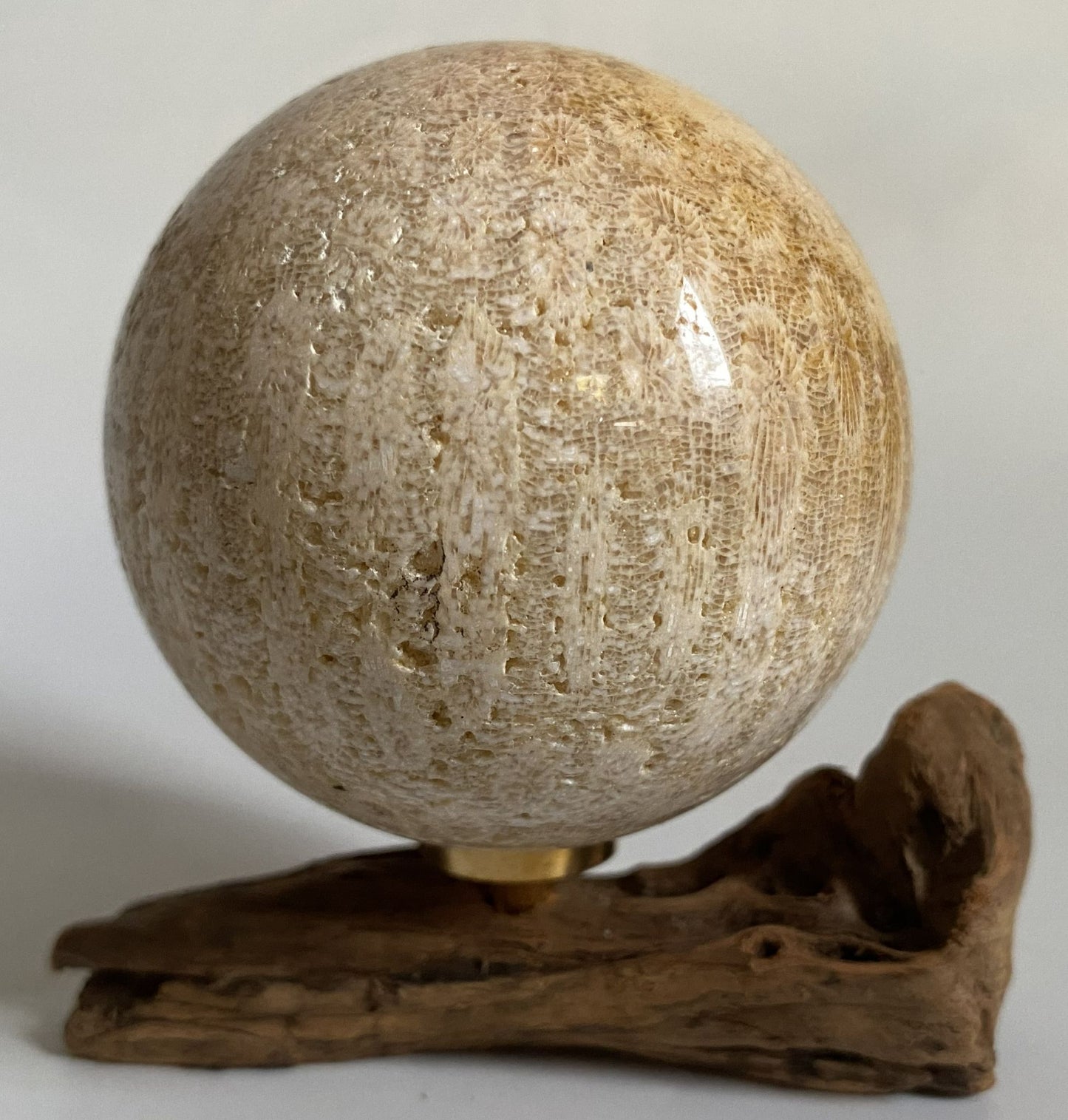 Sfera decorativa de 6.3cm din piatra semipretioasa de coral fosilizat pe suport din lemn cu fundal alb