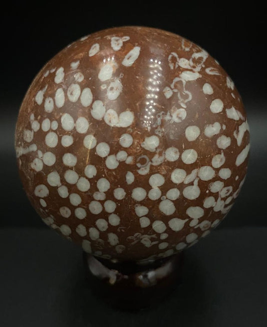 Sfera din coral fosilizat pe fundal negru sub lumina artificiala