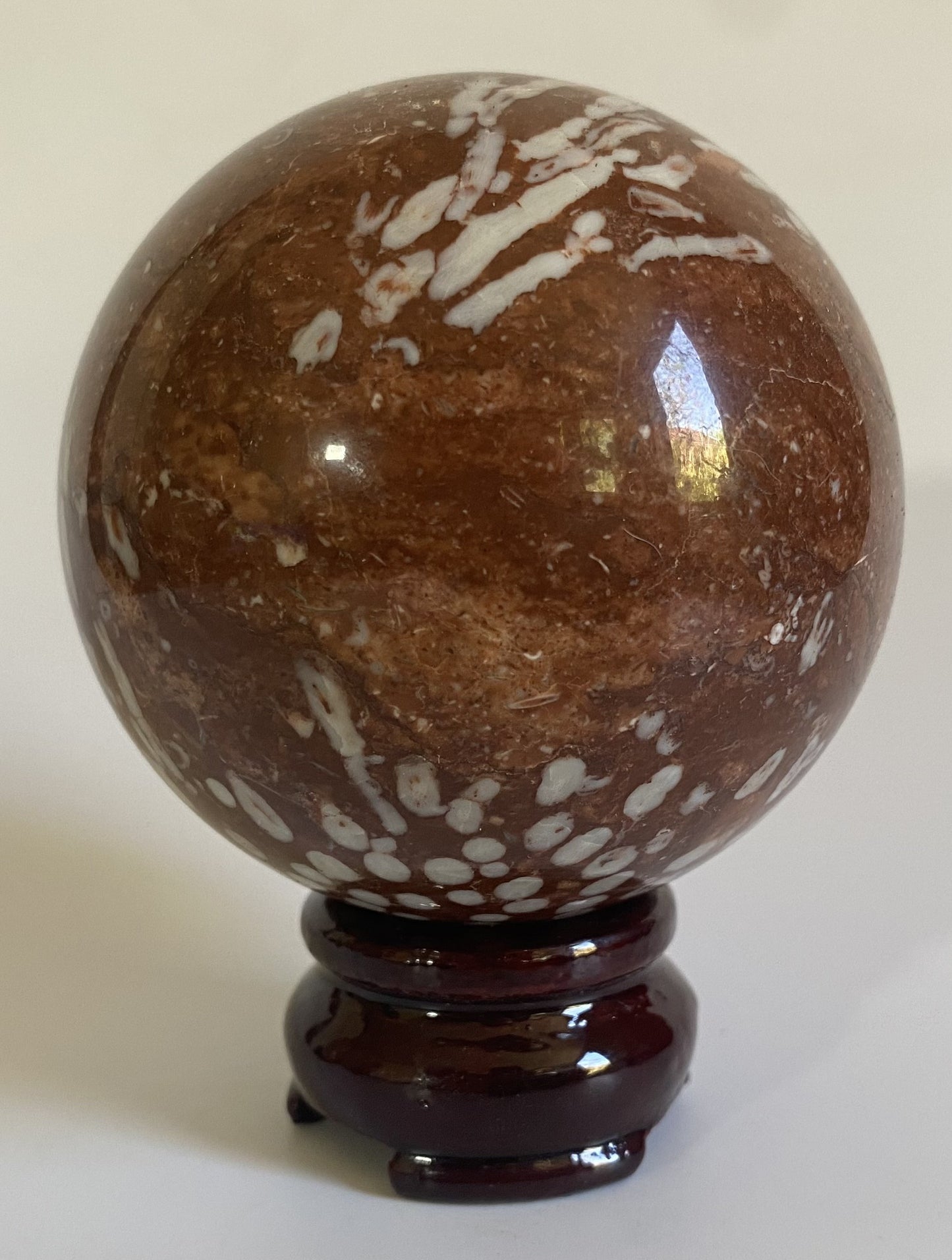 Sfera din coral fosilizat pe fundal alb sub lumina naturala