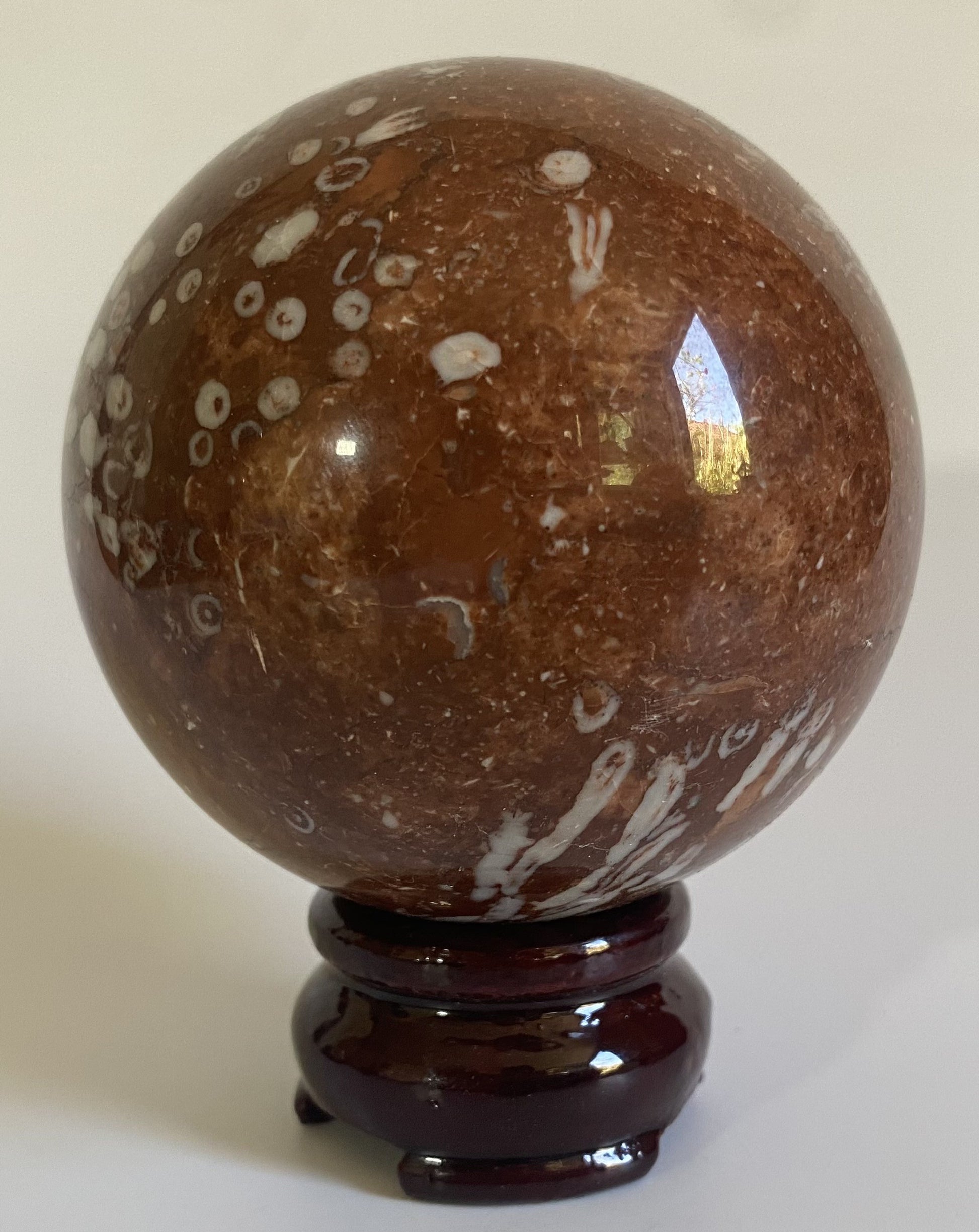 Sfera din coral fosilizat pe fundal alb sub lumina naturala