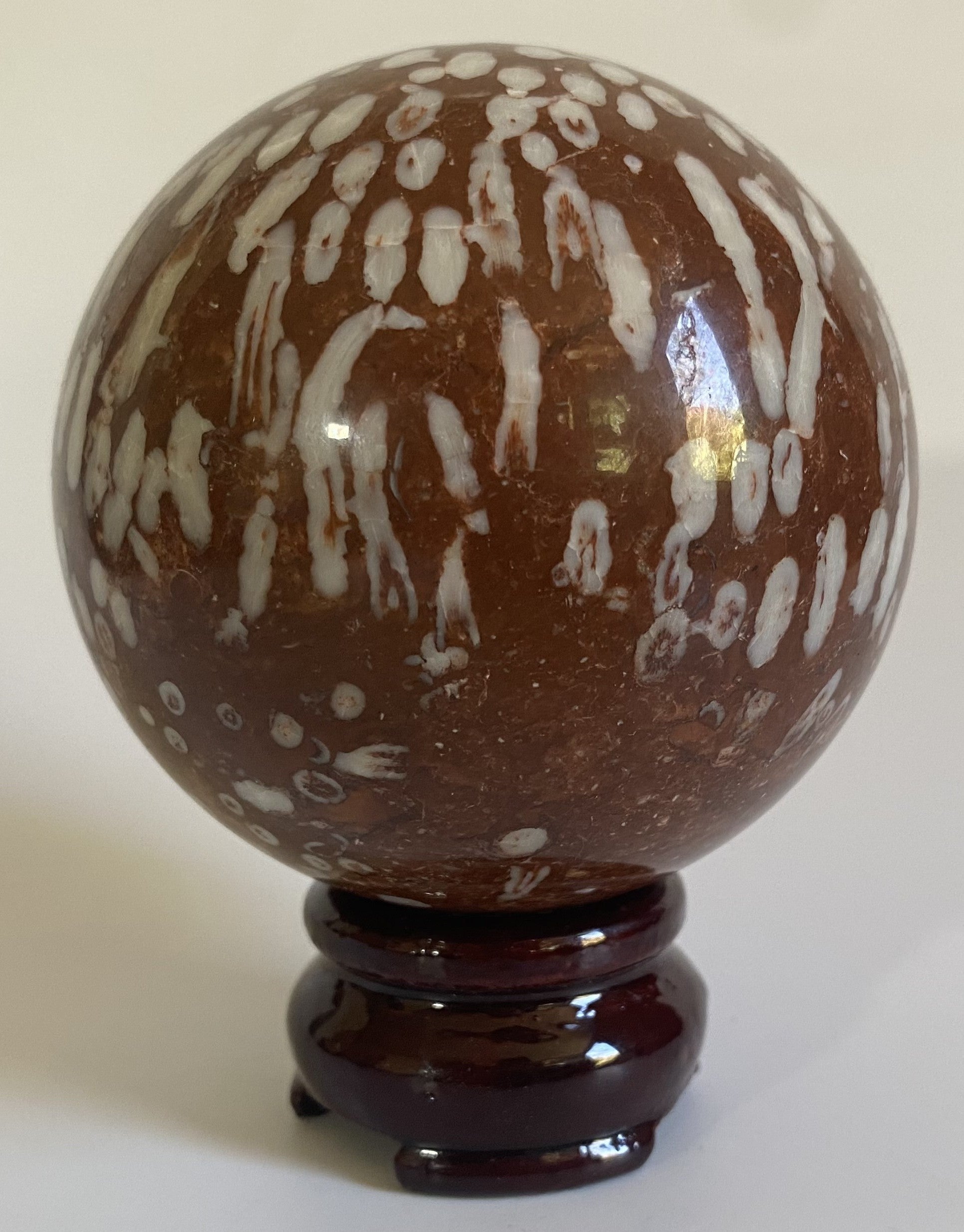 Sfera din coral fosilizat pe fundal alb sub lumina naturala