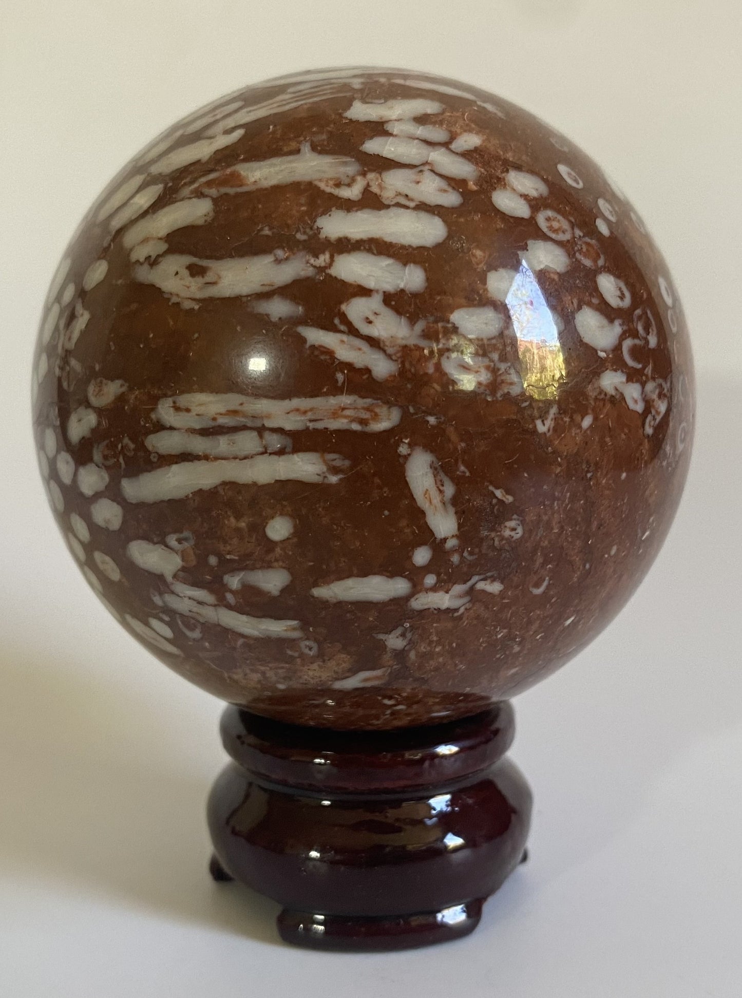 Sfera din coral fosilizat pe fundal alb sub lumina naturala