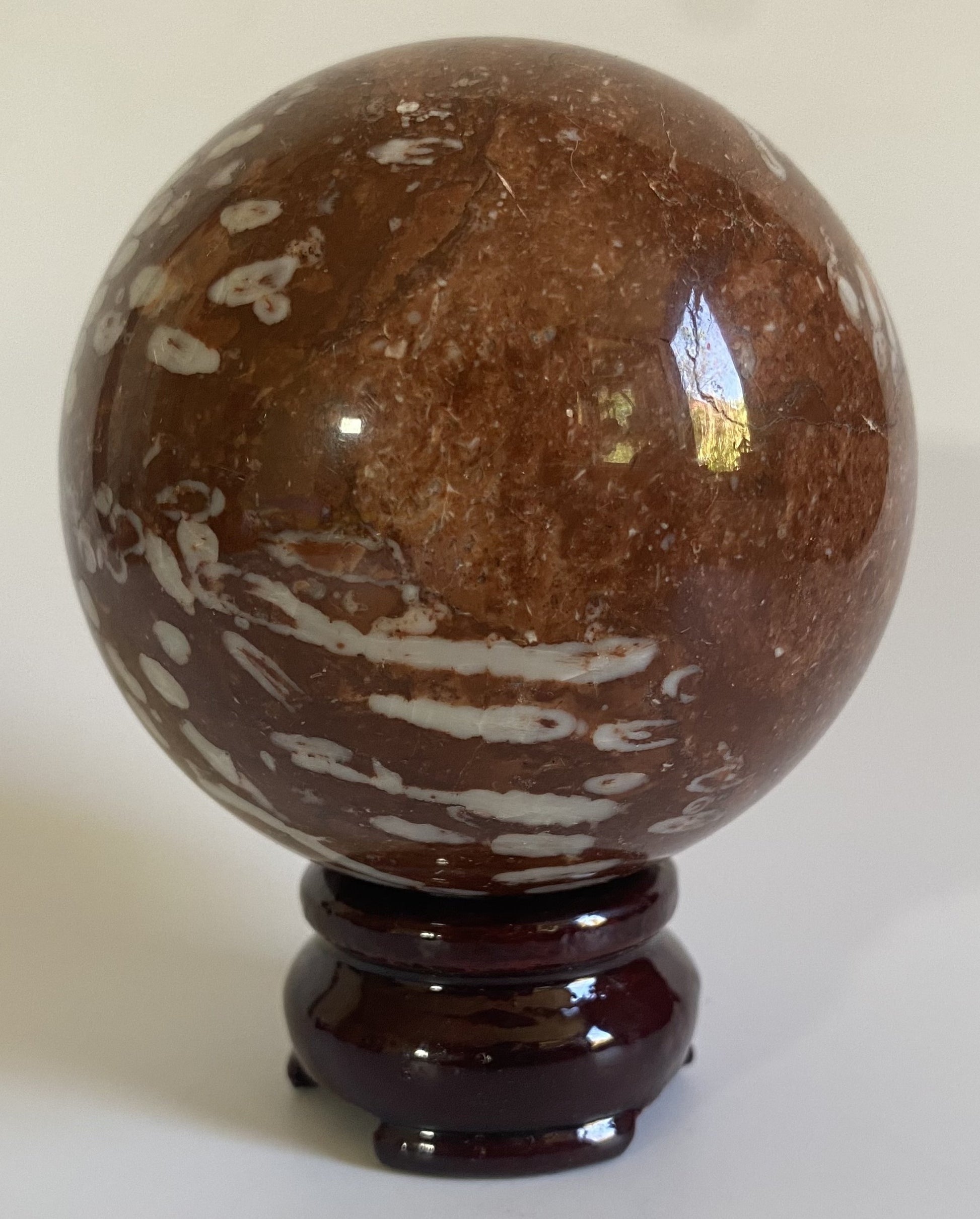 Sfera din coral fosilizat pe fundal alb sub lumina naturala