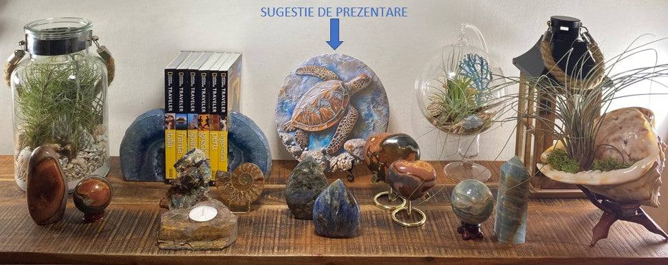 Decoratiune din metal aluminiu imprimat cu model testoasa pe suport, rezistenta UV si apa, montata pe perete, decor 2D