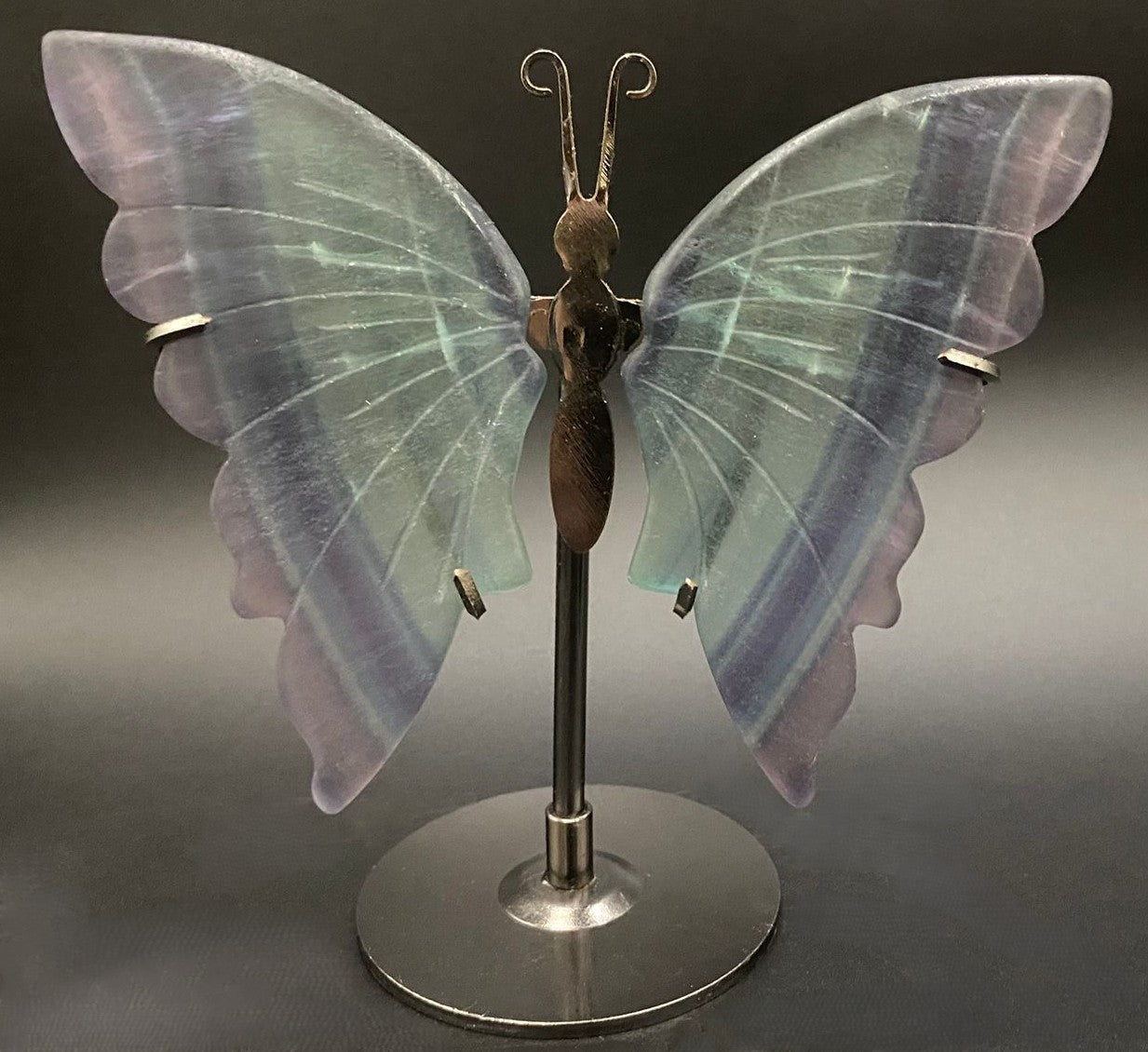 Fluture din piatra semipretioasa de fluorit rainbow pe fundal negru