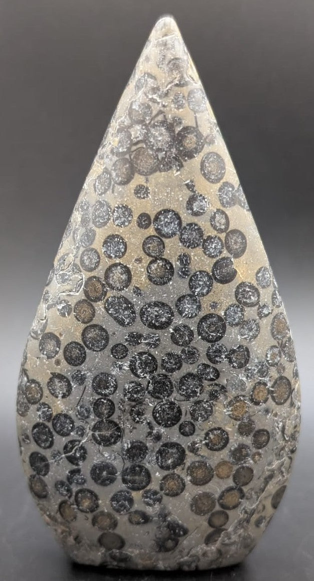 Sculptura din piatra semipretioasa de jasp leopard pe fundal negru