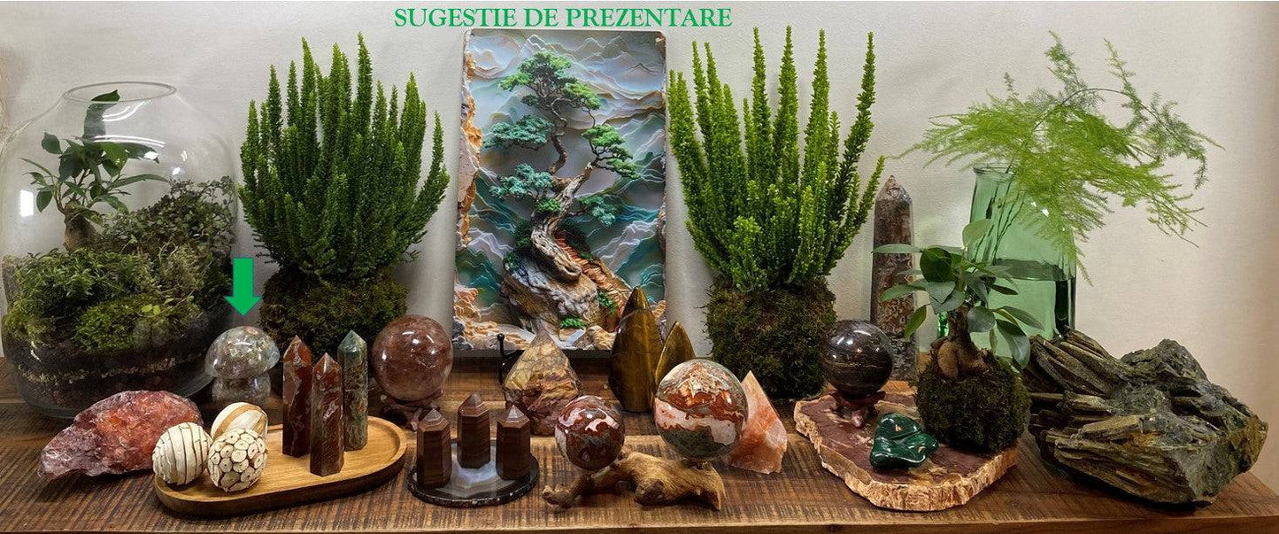 Ciuperca din Jasp Oceanic piatra semipretioasa pe suport natur cu plante verzi