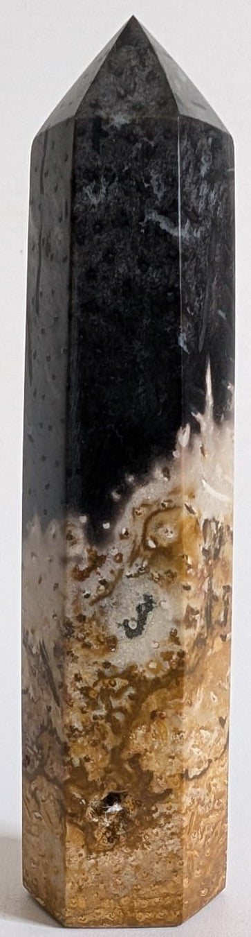 Obelisc din cristal de lemn fosilizat din palmier pe fundal alb