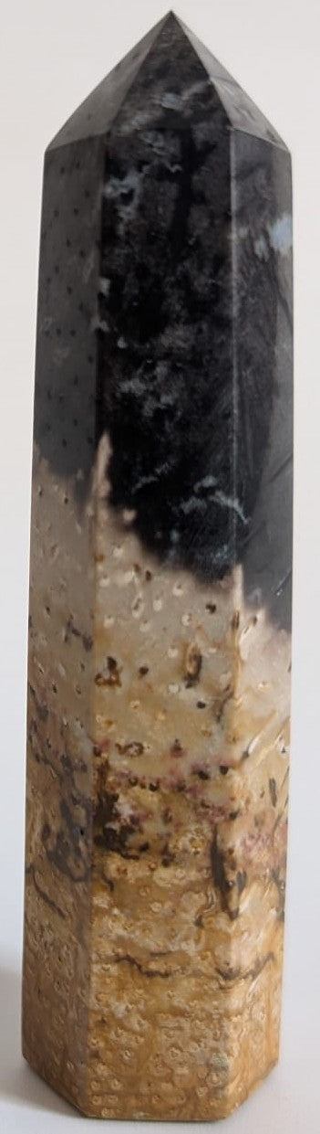 Obelisc din cristal de lemn pietrificat din palmier pe fundal alb