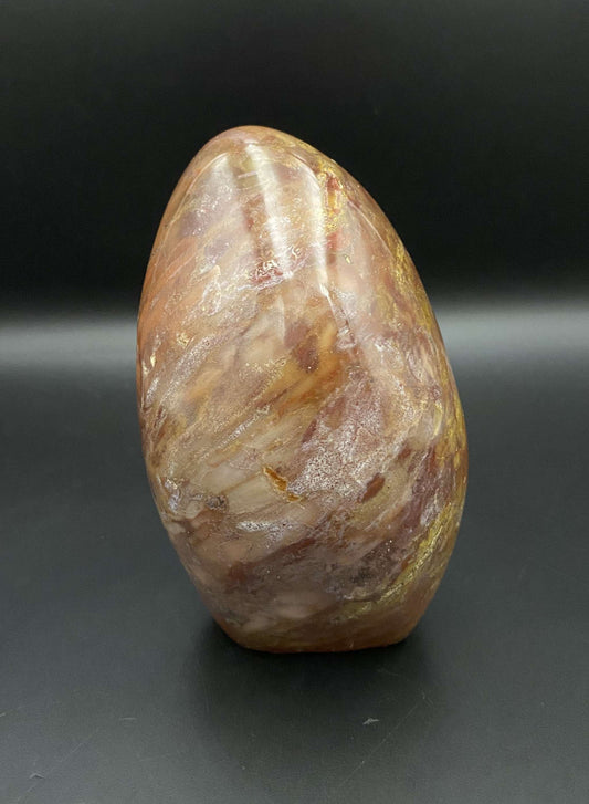 Lemn Pietrificat fosilizat sculptura piatra semipretioasa pe fundal negru