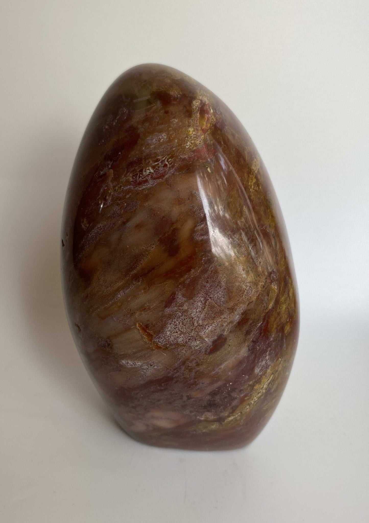 Polished natural petrified wood sculpture semiprecious stone decorative piece