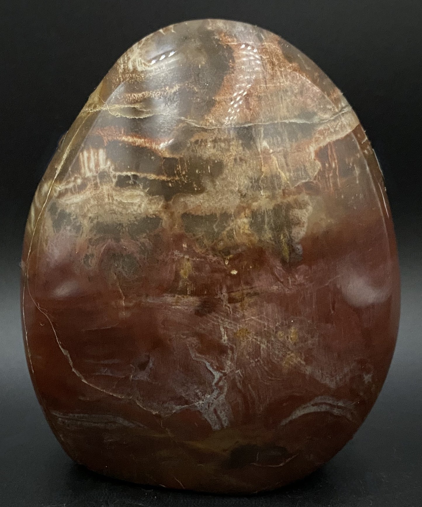 Lemn Pietrificat (Fosilizat) - Sculptura piatra semipretioasa