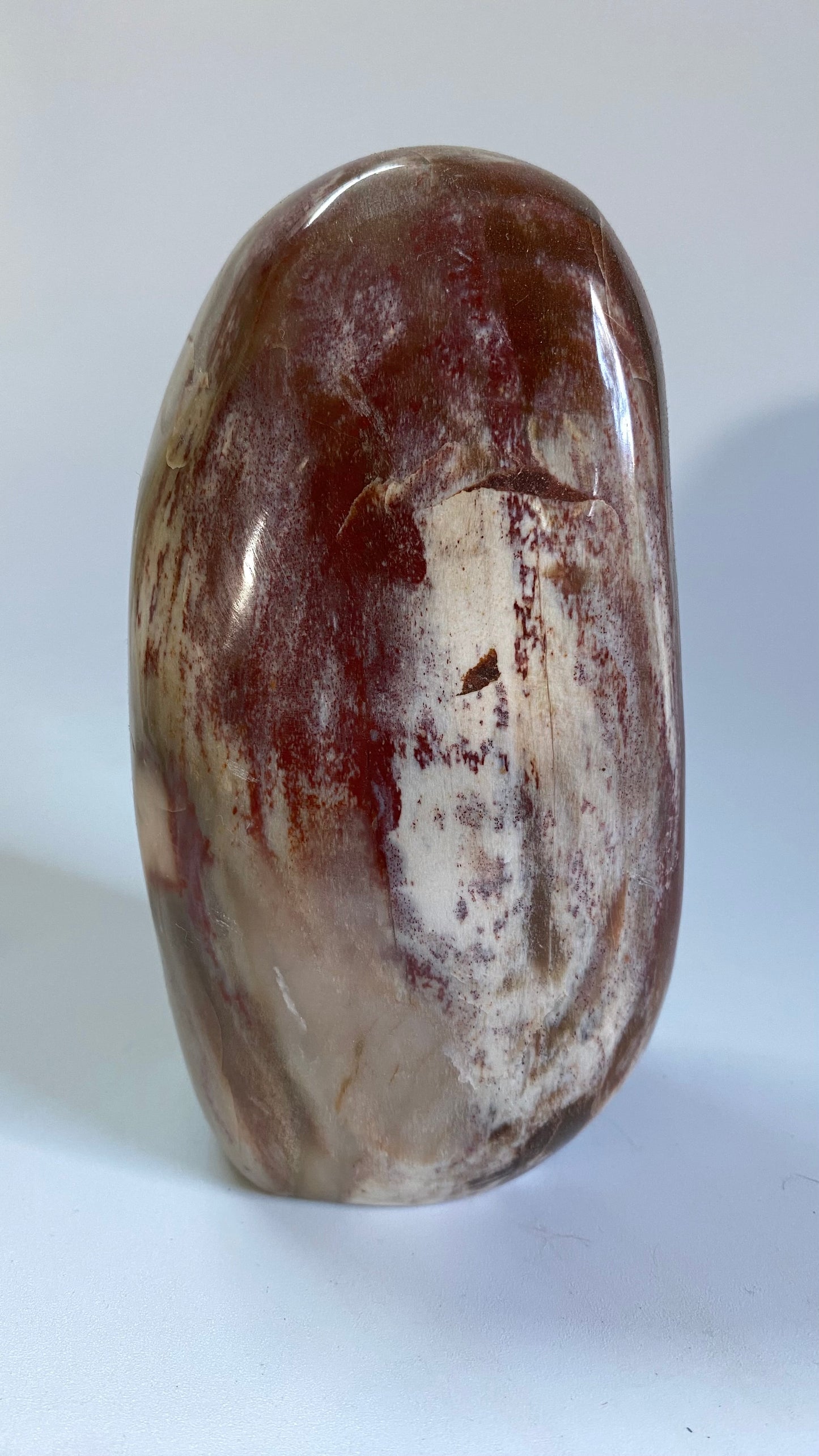 Lemn Pietrificat (Fosilizat) - Sculptura piatra semipretioasa