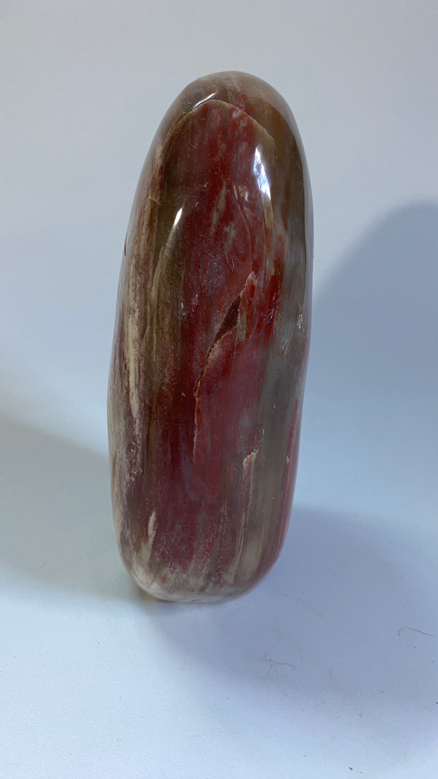 Lemn Pietrificat (Fosilizat) - Sculptura piatra semipretioasa