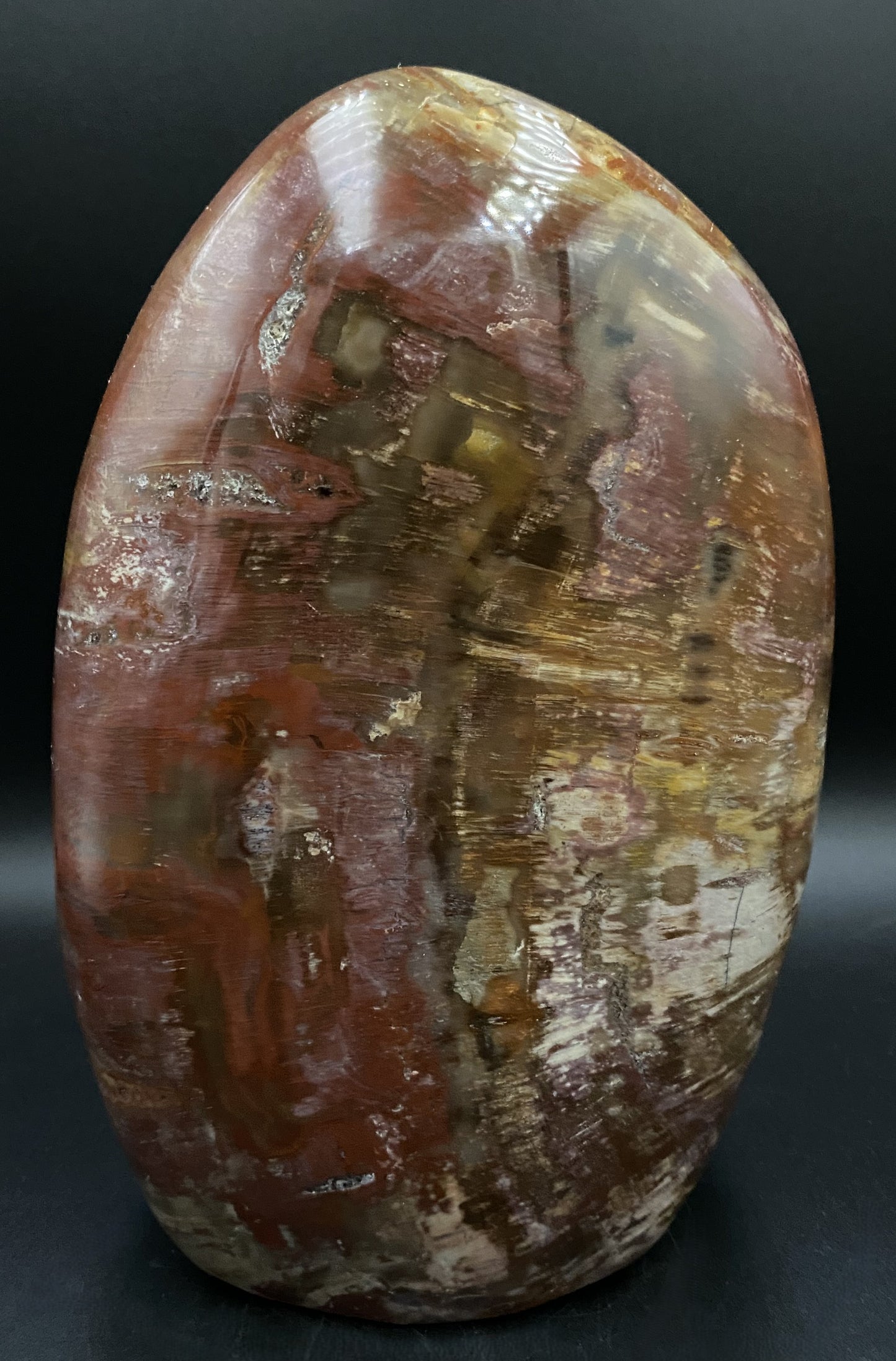 Lemn Pietrificat (Fosilizat) - Sculptura piatra semipretioasa
