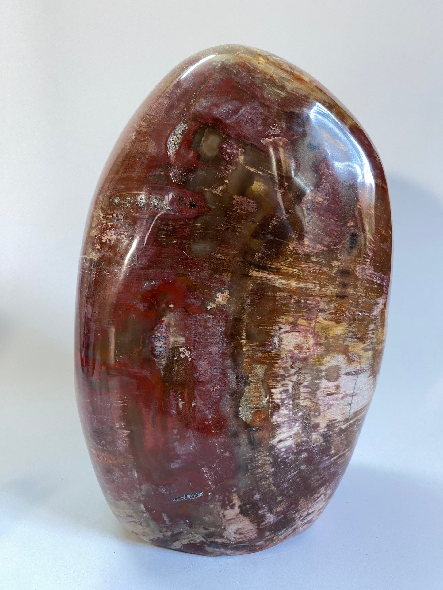 Lemn Pietrificat (Fosilizat) - Sculptura piatra semipretioasa