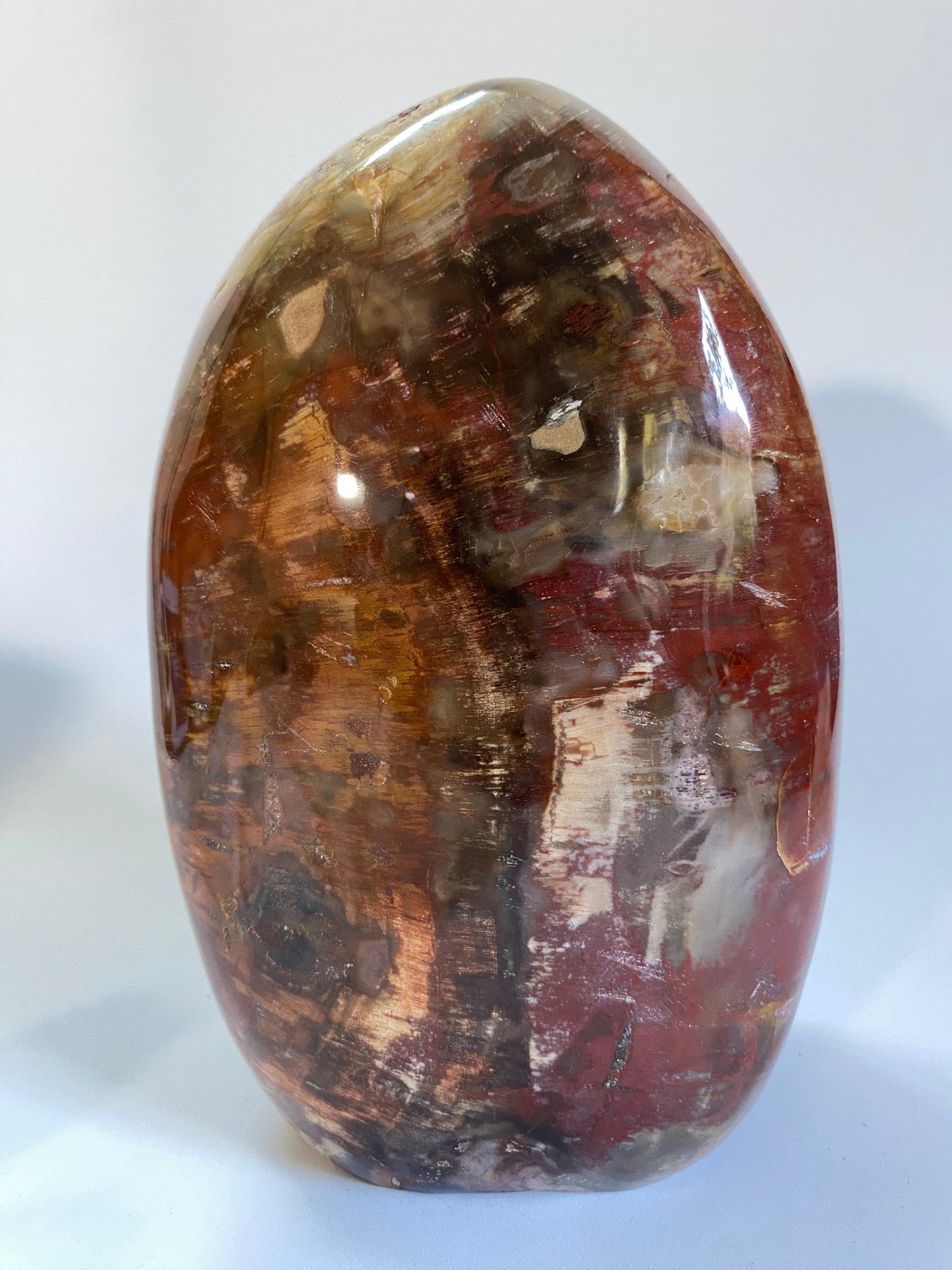 Lemn Pietrificat (Fosilizat) - Sculptura piatra semipretioasa