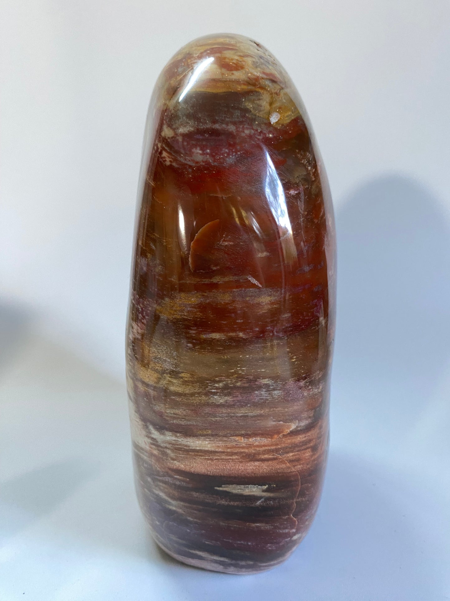 Lemn Pietrificat (Fosilizat) - Sculptura piatra semipretioasa