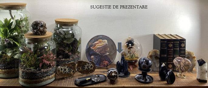 set obeliscuri din agat negru elegant pentru decor modern pe raft cu plante si carti