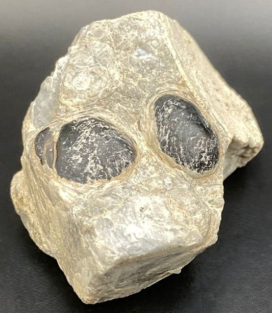 Piatra bruta din piatra semipretioasa de obsidian lacrima apasului pe fundal negru