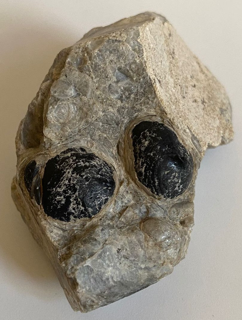 Piatra bruta din piatra semipretioasa de obsidian lacrima apasului pe fundal alb