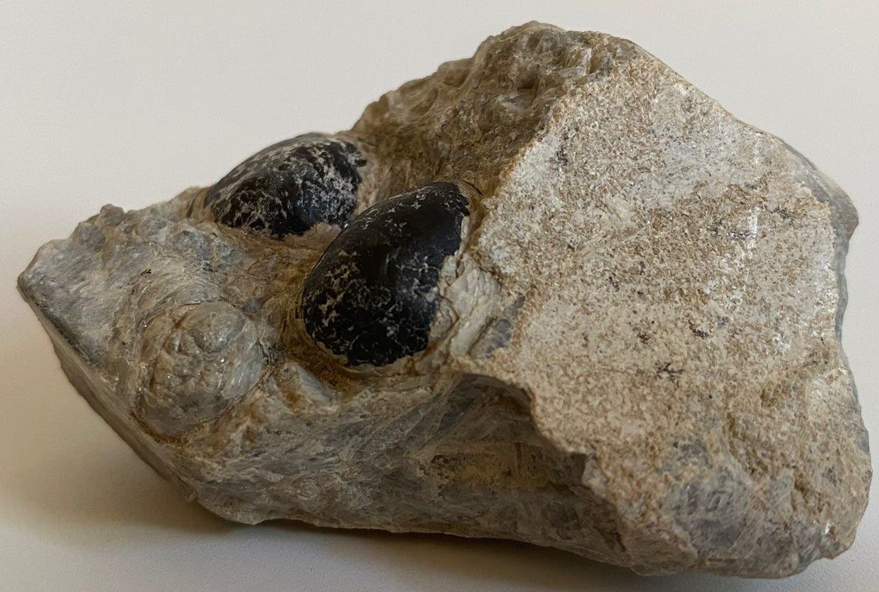 Piatra bruta din cristal de obsidian lacrima apasului pe fundal alb